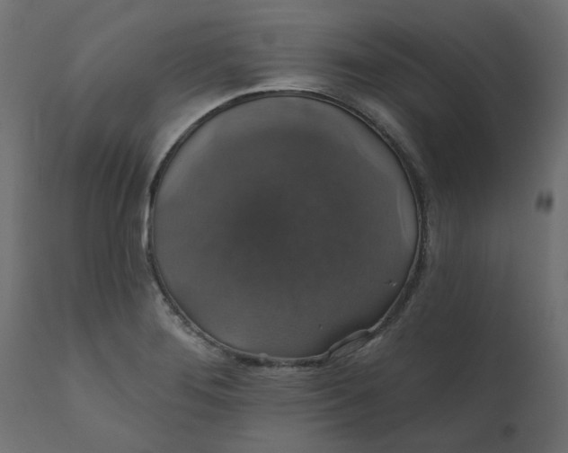 X0000110701276200906261359