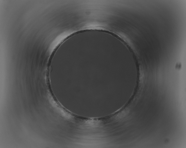 X0000110701277200906261359