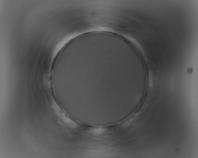 X0000110701278200906261359