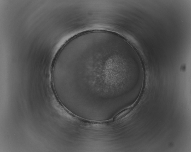 X0000110701280200906261359