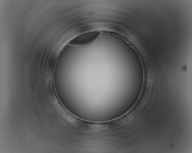 X0000110701281200906261359