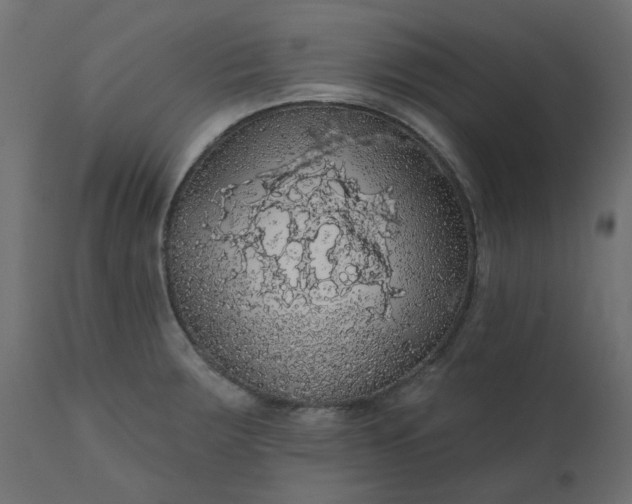 X0000110701283200906261359