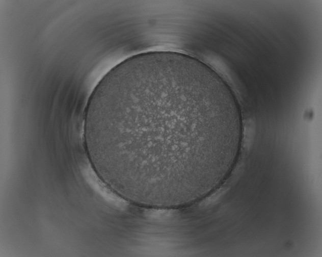 X0000110701284200906261359
