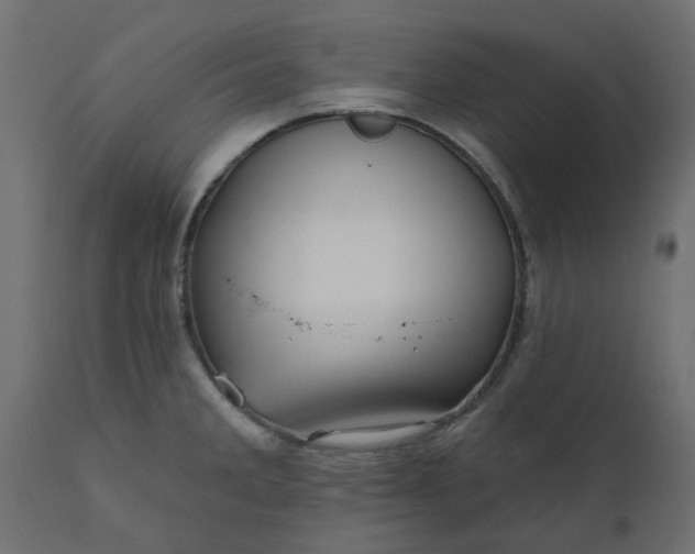 X0000110701285200906261359