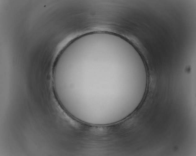 X0000110701286200906261359