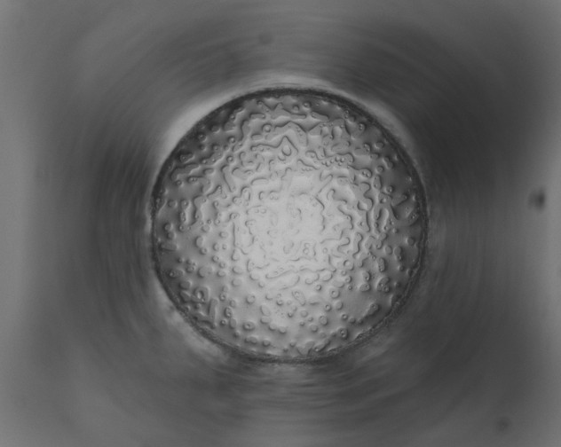 X0000110701287200906261359