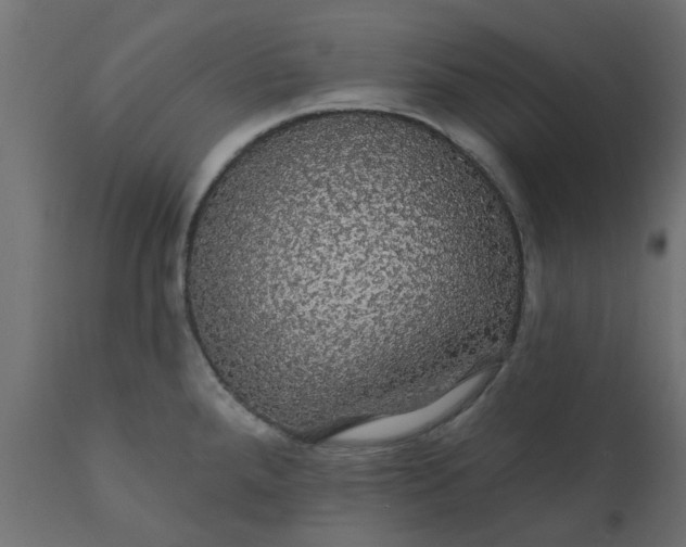 X0000110701288200906261359