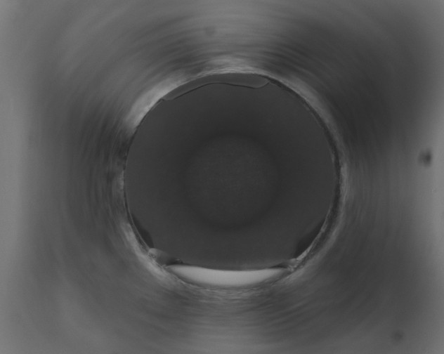 X0000110701289200906261359