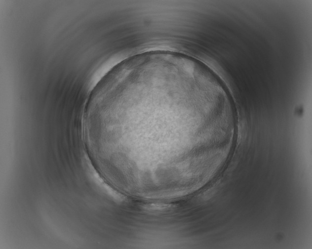 X0000110701290200906261359