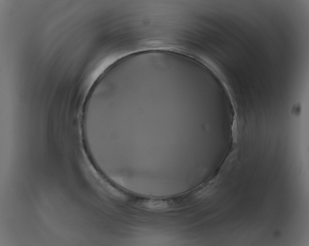 X0000110701291200906261359