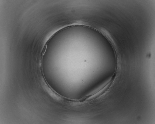 X0000110701292200906261359