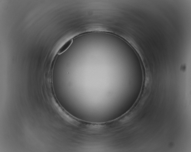 X0000110701293200906261359
