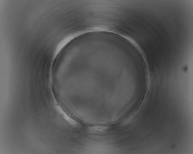 X0000110701294200906261359