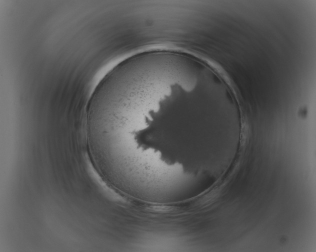 X0000110701295200906261359