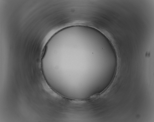 X0000110701296200906261359