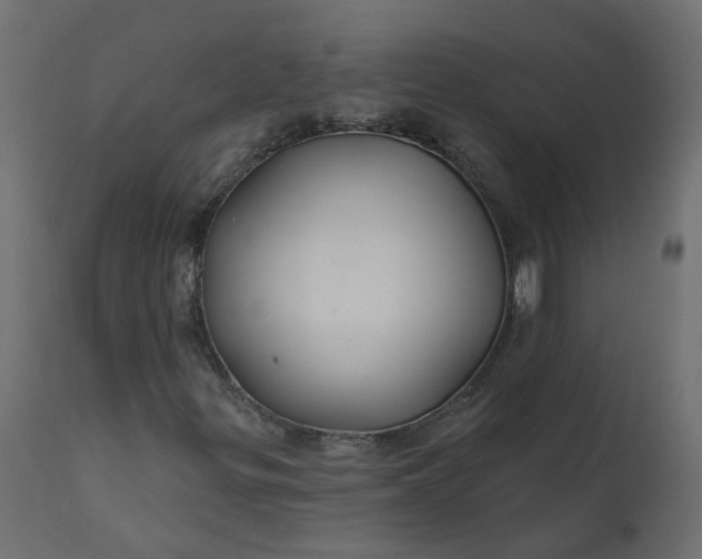 X0000110701299200906261358