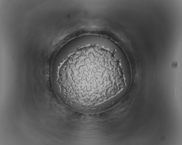 X0000110701301200906261358