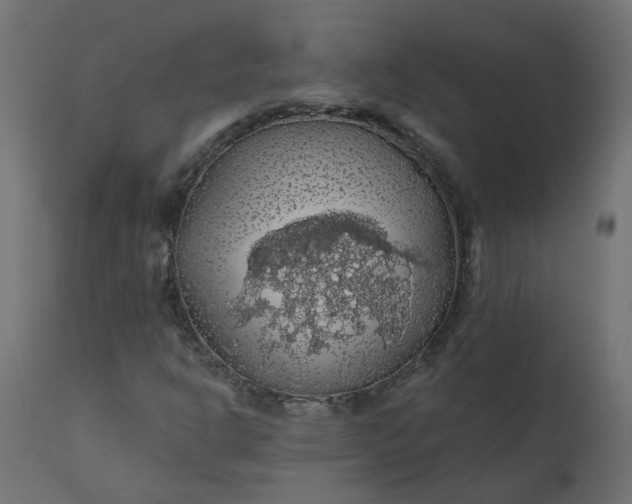 X0000110701302200906261358