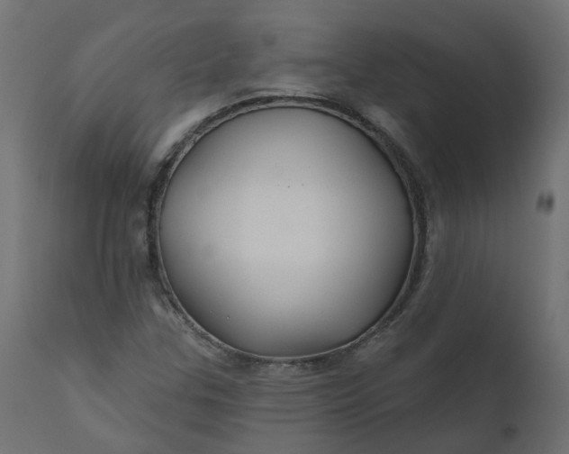 X0000110701307200906261358