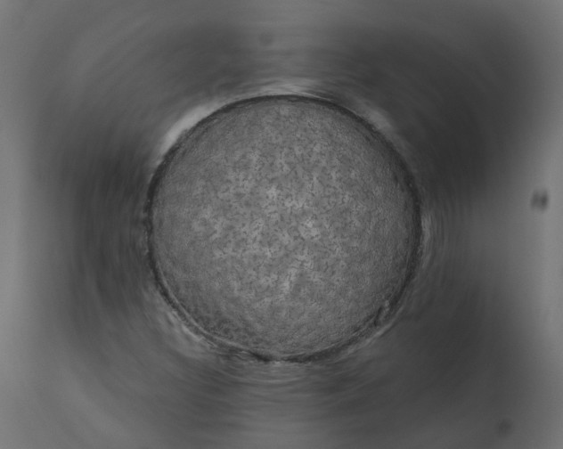 X0000110701308200906261358
