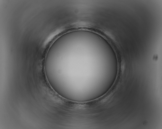X0000110701309200906261358