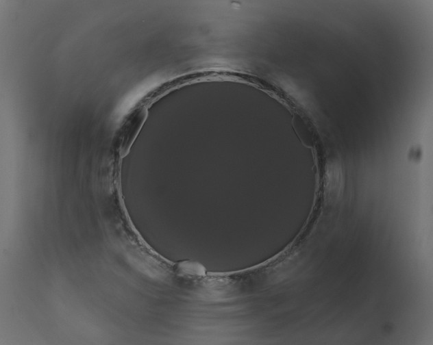X0000110701310200906261358