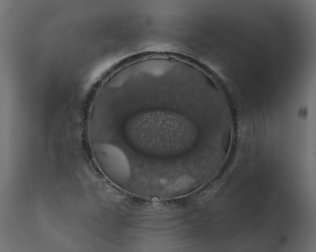 X0000110701311200906261358