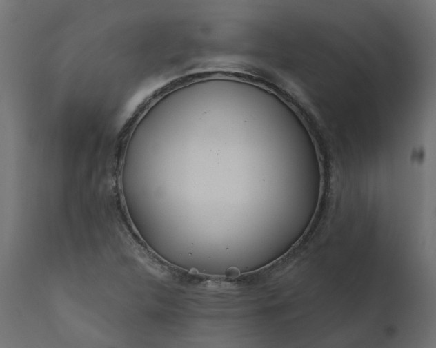 X0000110701312200906261358
