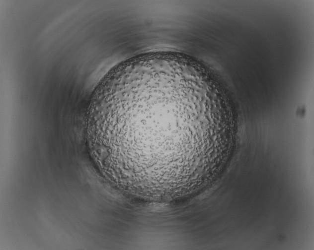 X0000110701313200906261358