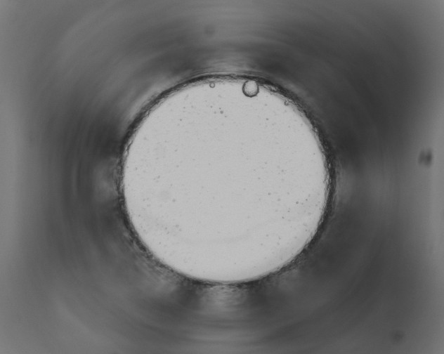 X0000110701314200906261358