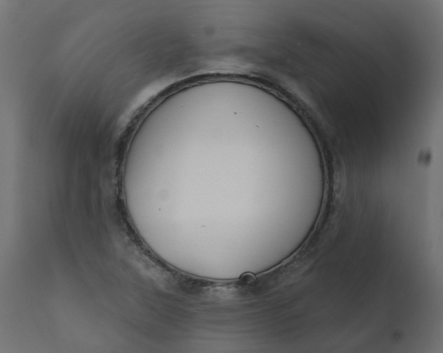 X0000110701315200906261358