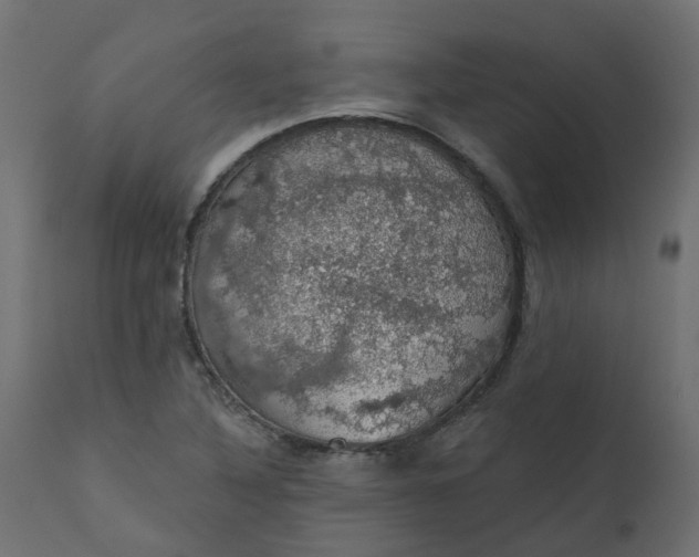 X0000110701316200906261358