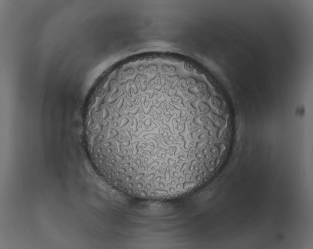 X0000110701318200906261358