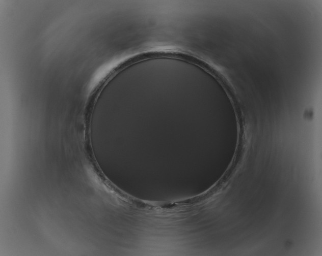 X0000110701319200906261358