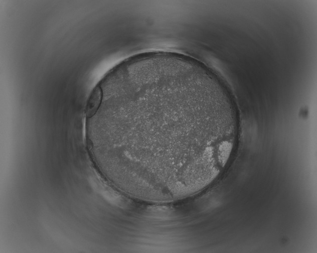 X0000110701320200906261358