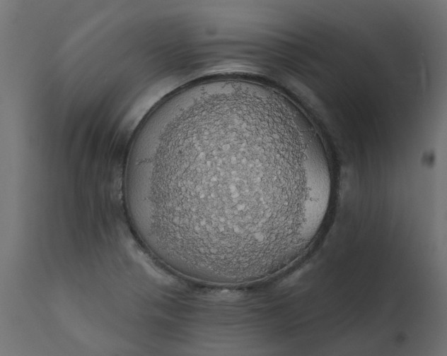 X0000110701321200906261358