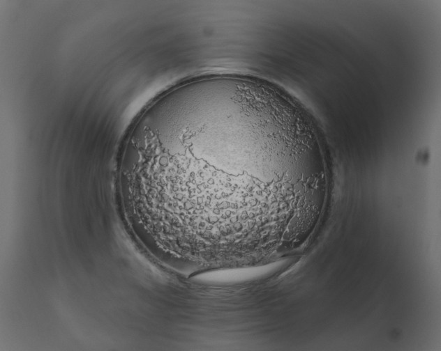 X0000110701325200906261358