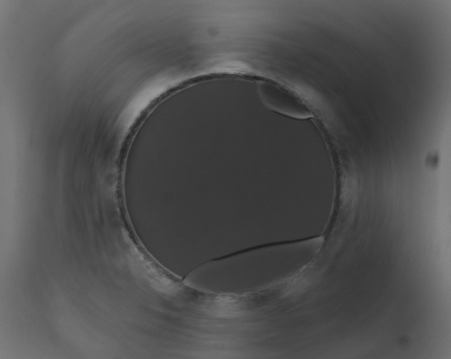 X0000110701326200906261358