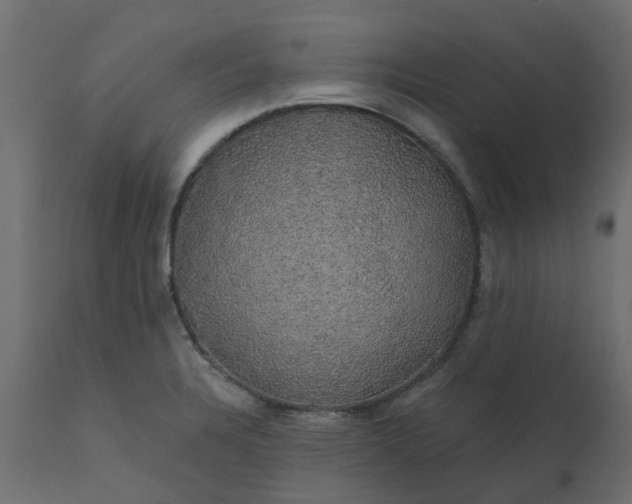 X0000110701328200906261358