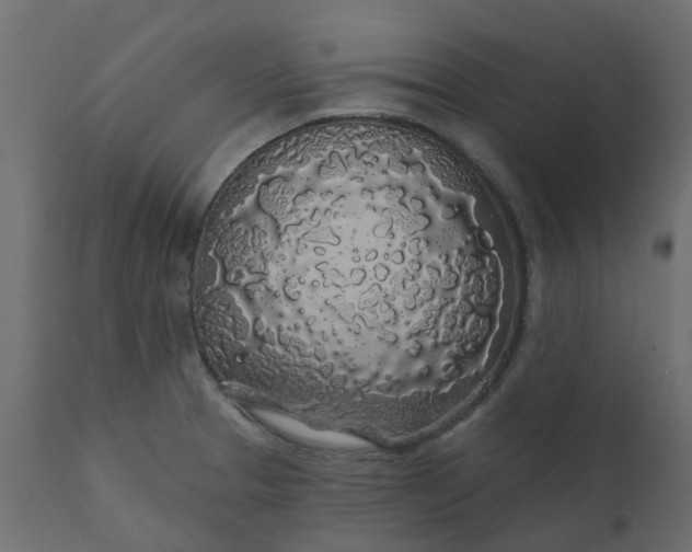 X0000110701329200906261358