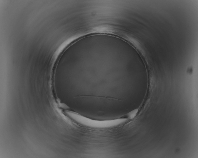 X0000110701331200906261358