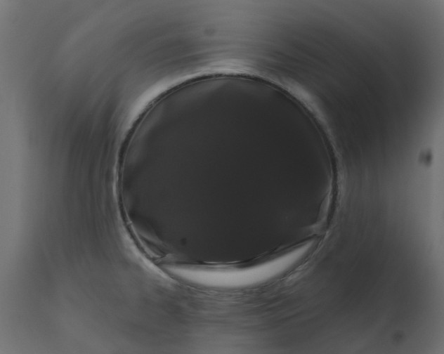 X0000110701334200906261358