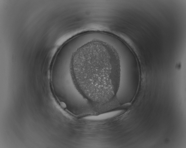 X0000110701335200906261358