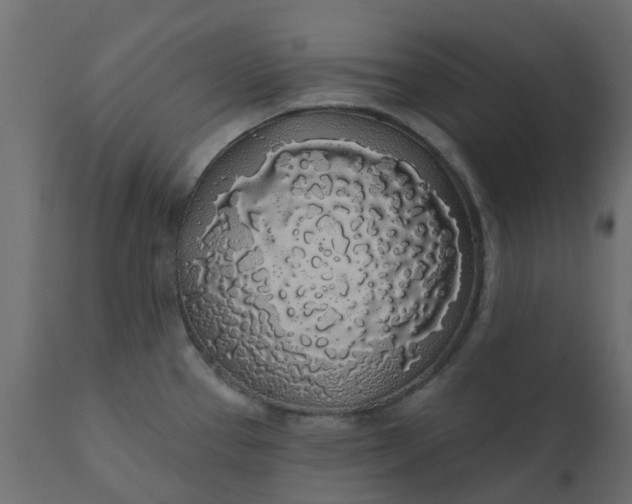 X0000110701337200906261359