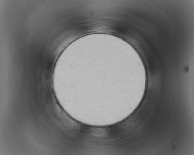 X0000110701338200906261359