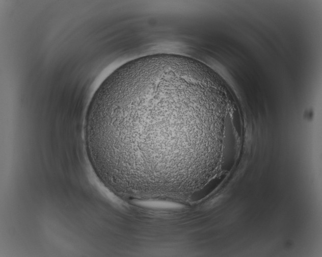 X0000110701339200906261359