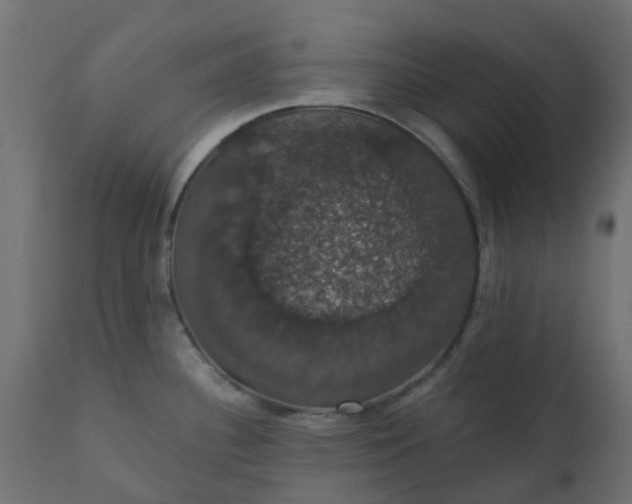 X0000110701340200906261359