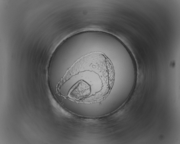 X0000110701341200906261359