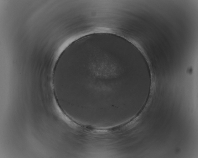 X0000110701342200906261359