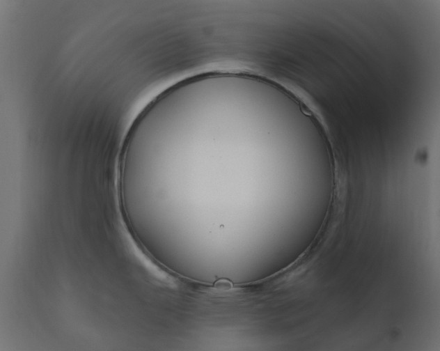 X0000110701343200906261359